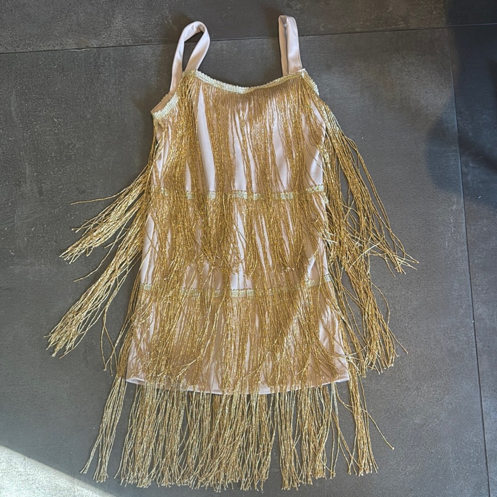 Kids Gold Fringe Costume Dress